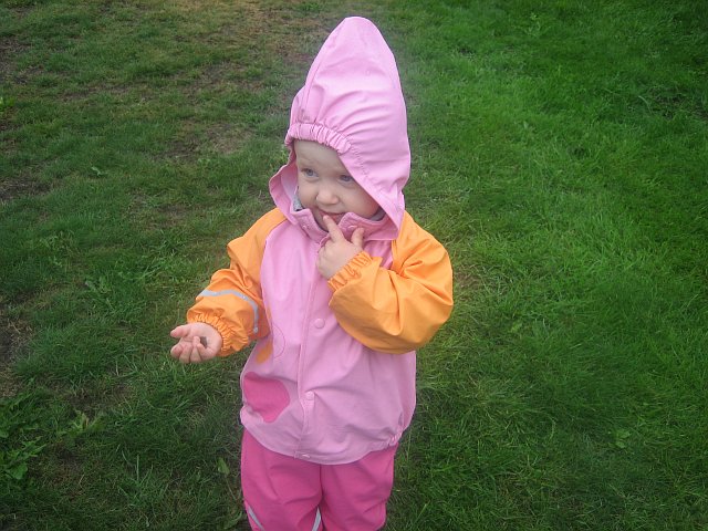 2007 Midsommar - 009
